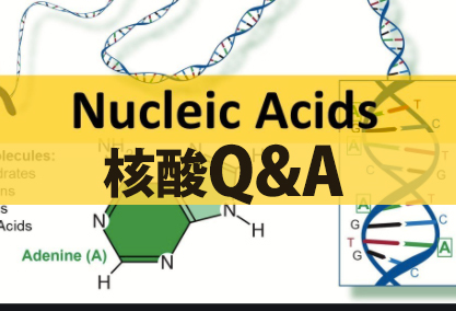 北海道白鮭白子DNA核酸　DNA核酸質問