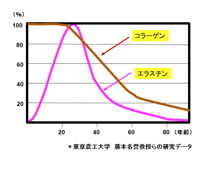 エラスチン年齢とともに減少