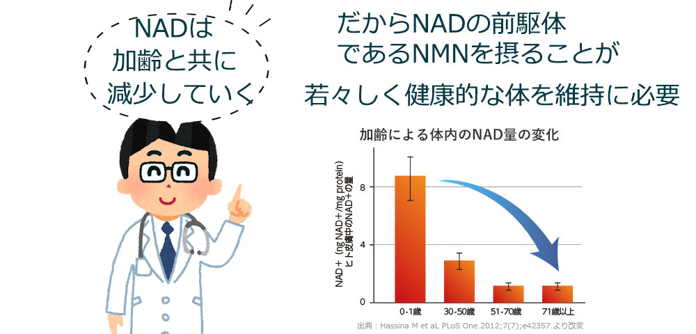 だからNADの前駆体 であ若々しく健康的な体を維持に必要るNMNを摂ることが